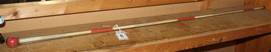 Glass cane(-)